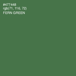 #477448 - Fern Green Color Image